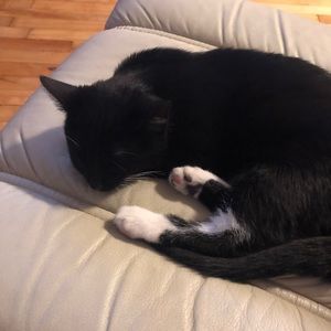 Meet your Posher, Jamie